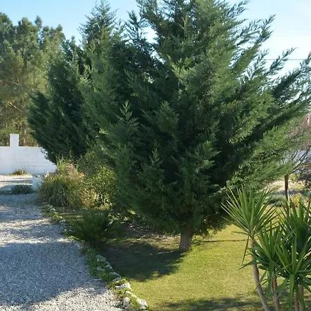 Holiday home Casa Do Tie *